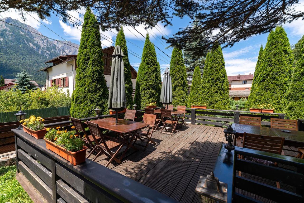 Hotel Casa Freya Buşteni Esterno foto
