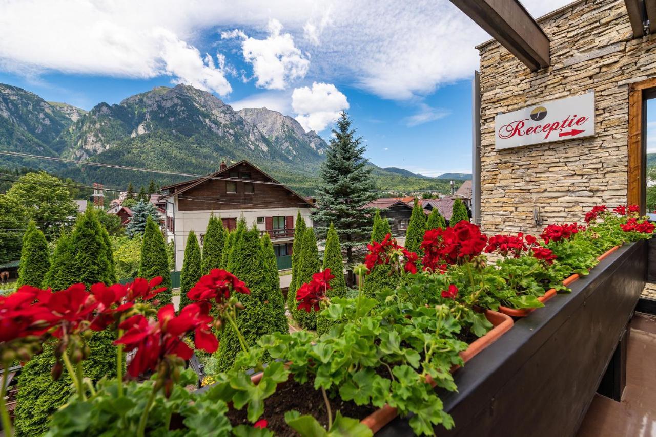 Hotel Casa Freya Buşteni Esterno foto